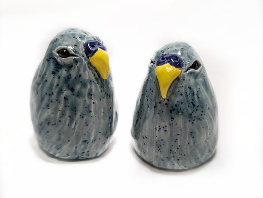 Blue Bird Shakers