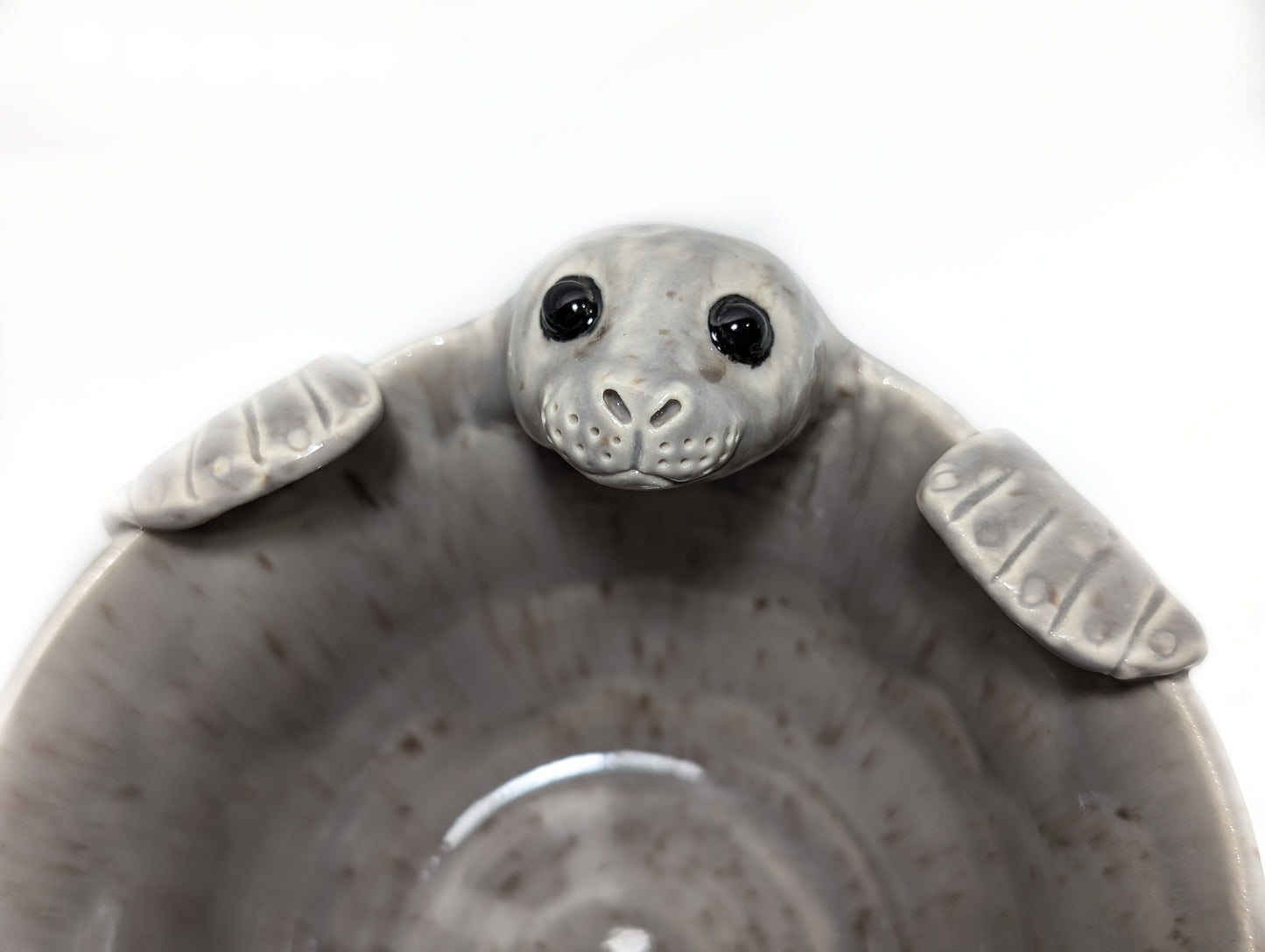 Harbor Seal Bowl