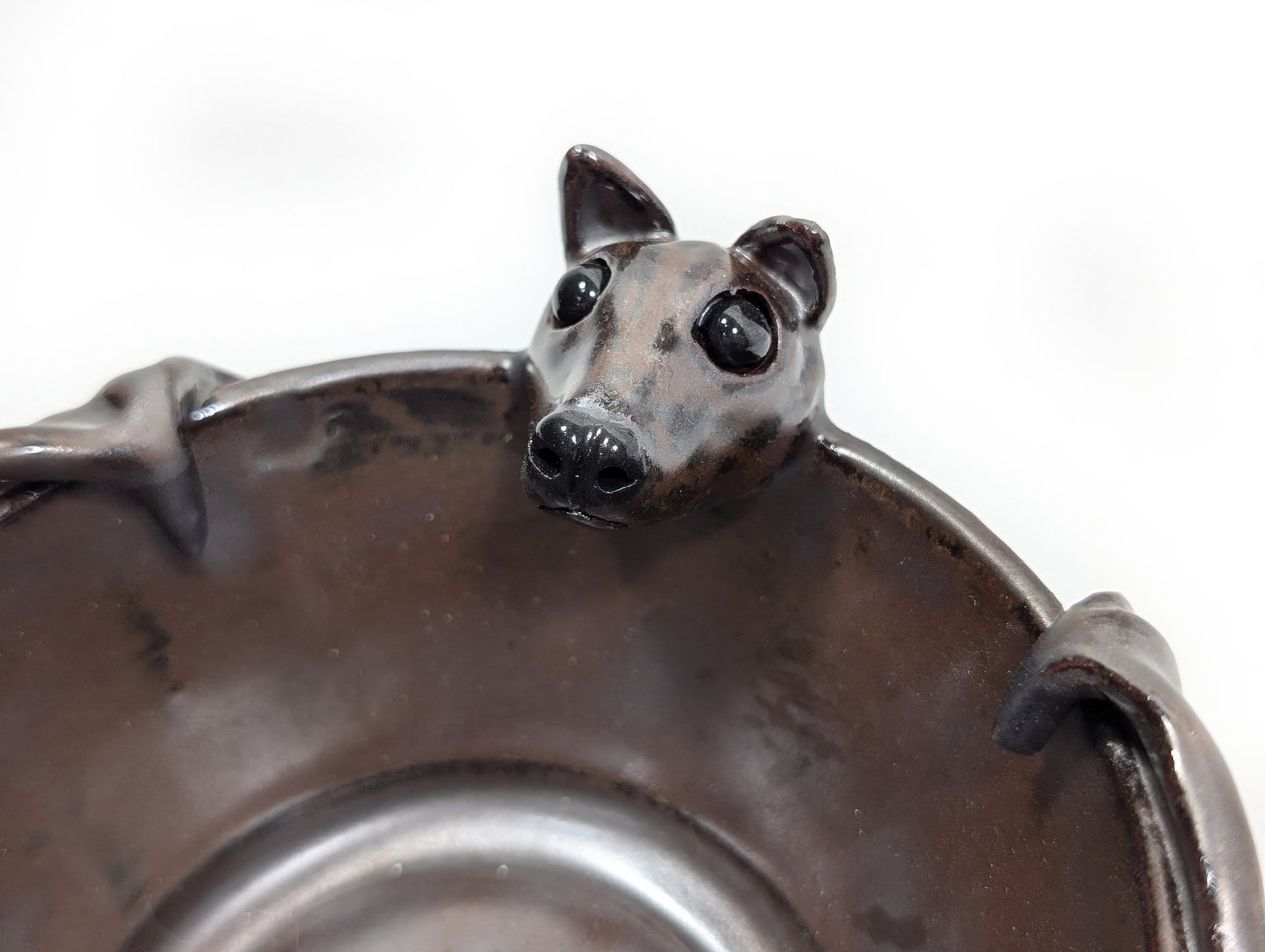 Short Nosed Fruit Bat Bowl